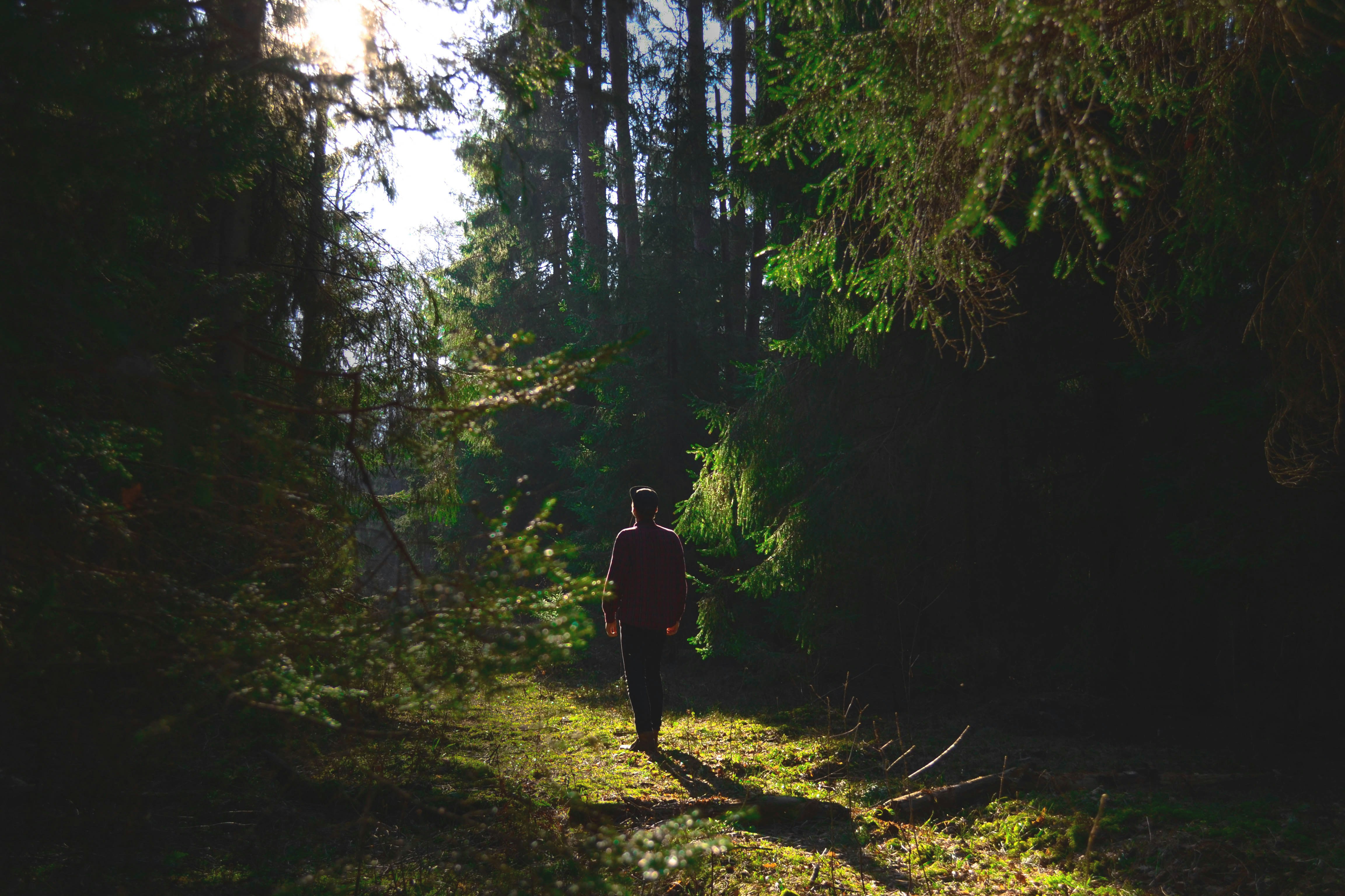 man standing in between trees